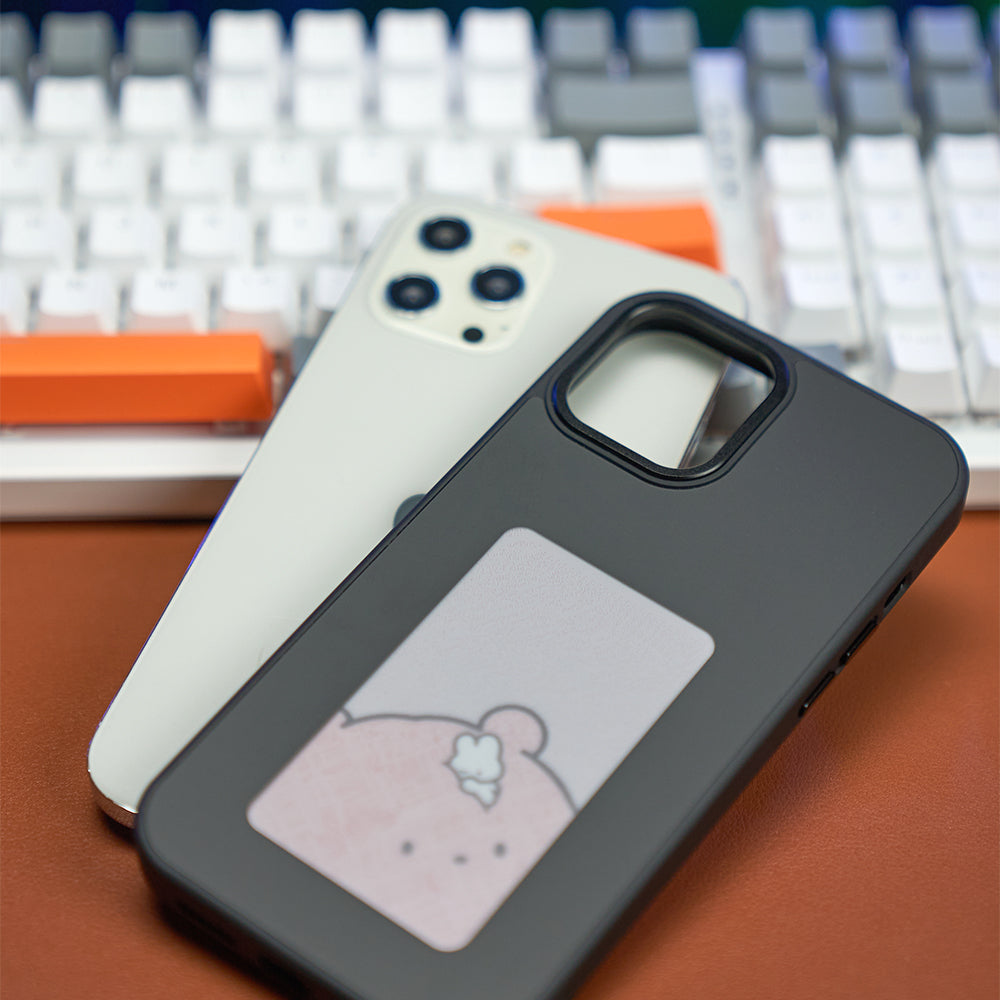Snapframe QuickChange E-Ink Case - APE'S HUT