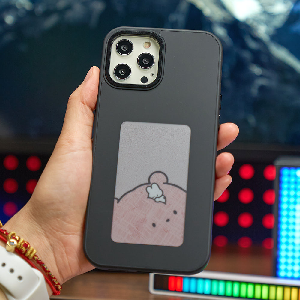 Snapframe QuickChange E-Ink Case - APE'S HUT