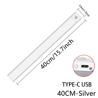 MOTION SENSOR LAMP - APE'S HUT - Silver-40cm TYPE-C