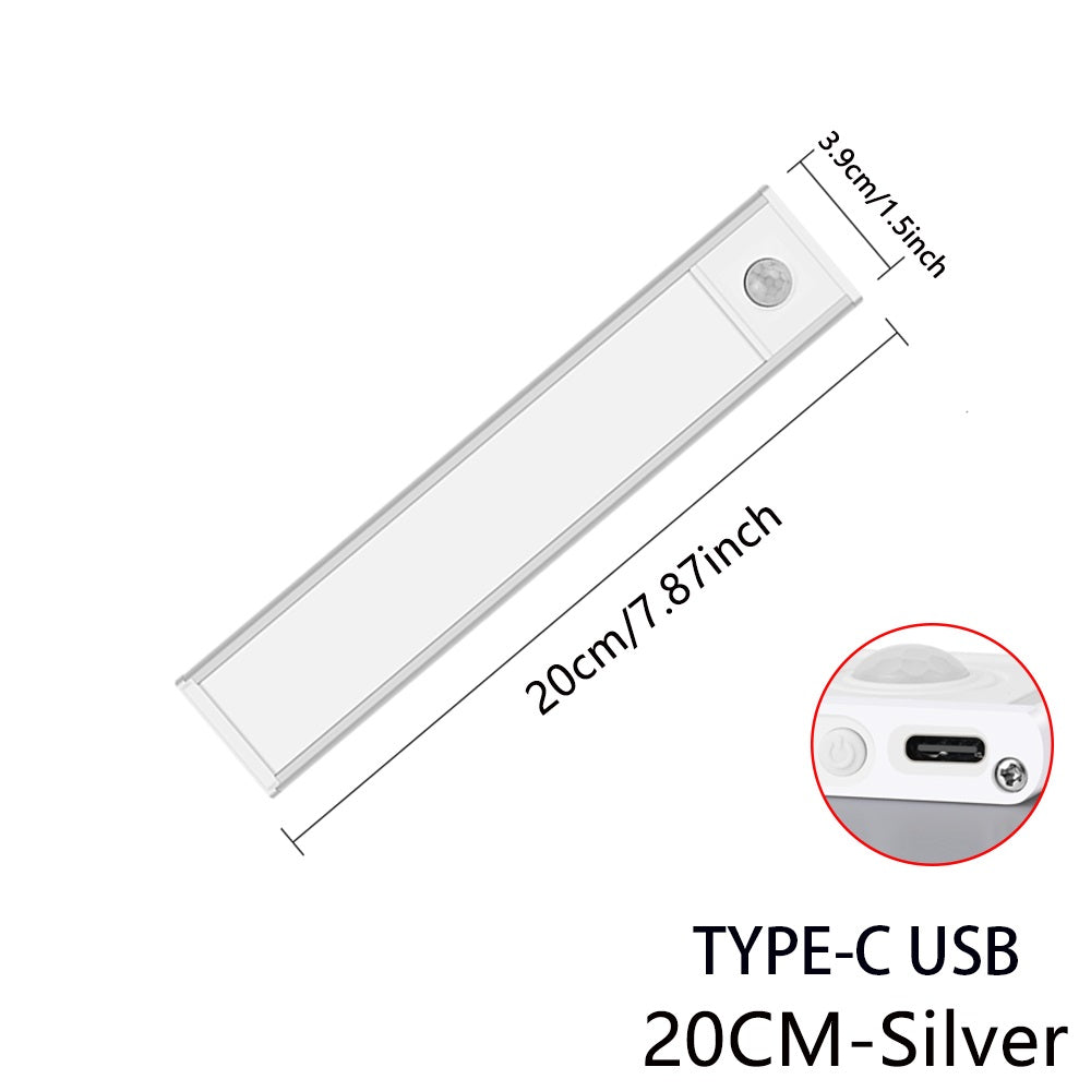 MOTION SENSOR LAMP - APE'S HUT - Silver-20cm TYPE-C